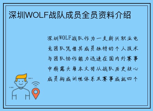深圳WOLF战队成员全员资料介绍